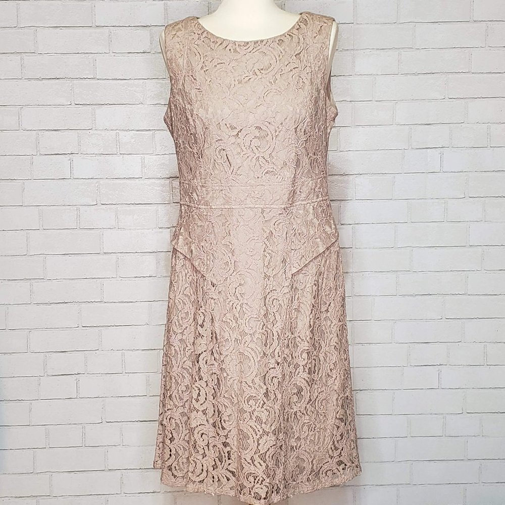 Adrianna Papell Lace Illusion Fit Flare Dress
